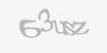 Защитный код