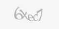 Защитный код