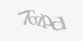 Защитный код